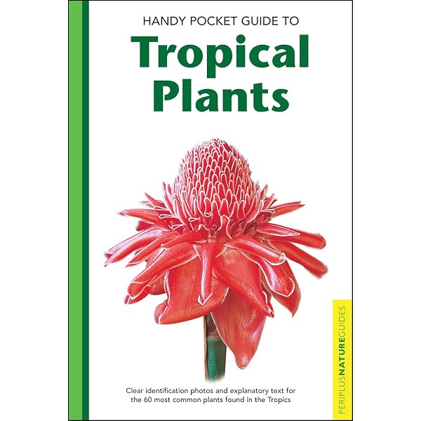 Tropica: Color Cyclopedia of Exotic Plants and Trees: Graf, A.B.